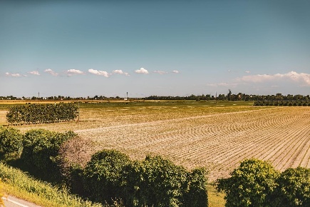 Foto Terreno agricolo a San Gillio di 5572 m² in vendita