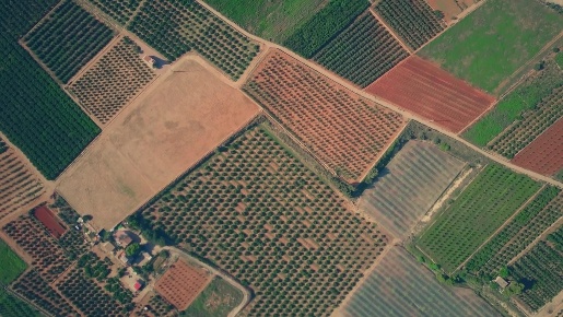 Foto Terreno agricolo a Riva presso Chieri Centro di 3367 m² in vendita
