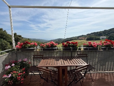 Foto Appartamento a Rosignano Marittimo di 85 m² con 3 locali in vendita