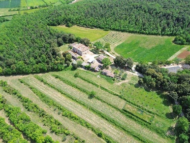 Foto Cessione attività in bellaria, Monteriggioni di 800 m² con 10 locali