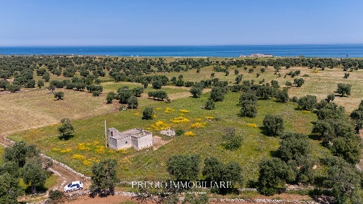 Foto Rustico a Fasano Savelletri, Torre Canne di 55 m² con 3 locali