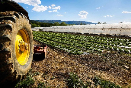 Foto Agriturismo a Rodigo Centro di 160 m² con 12 locali in vendita