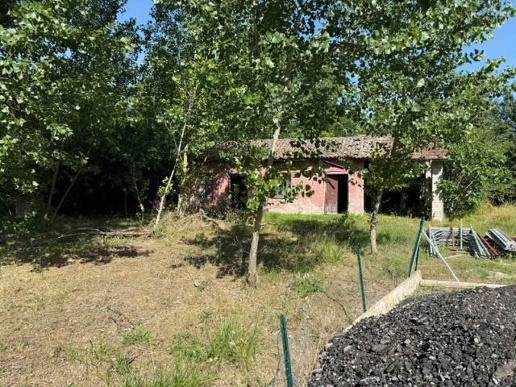 immagine annuncio 5 di 6