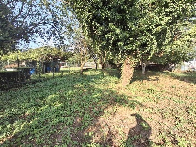 Foto Terreno agricolo a Usmate Velate Usmate di 1070 m² in vendita