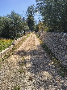 Foto Terreno residenziale in Traversa la marchesa snc, Noto di 15575 m²