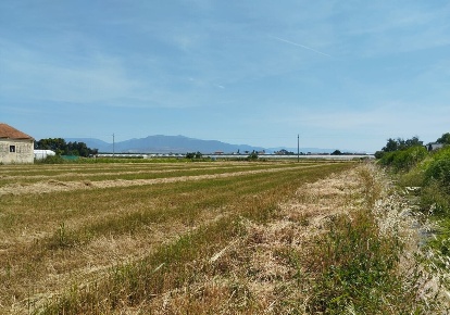 Foto Terreno agricolo in via bernardo tanucci, Eboli Centro di 15300 m²