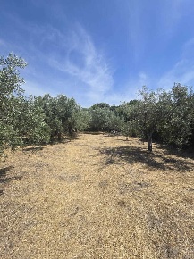 Foto Terreno agricolo in Viale dello Sport, Camporotondo Etneo di 2409 m²