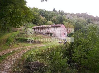 Foto Casale a Lucca Ponte a Moriano di 256 m² con 10 locali in vendita