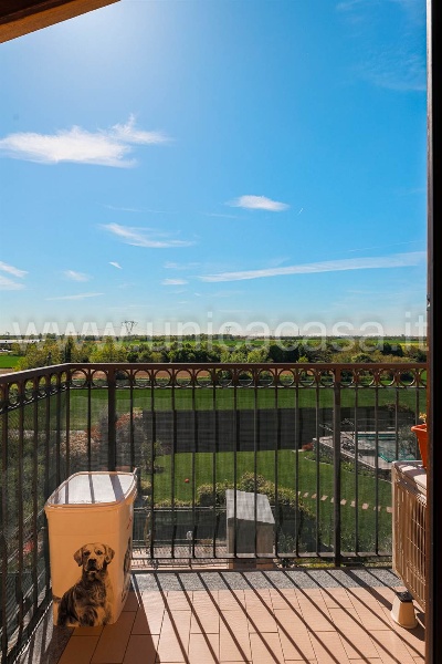 immagine annuncio 10 di 12