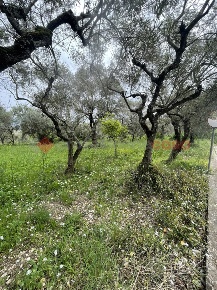 Foto Terreno agricolo in Via Randacci 1, Santi Cosma e Damiano di 5200 m²