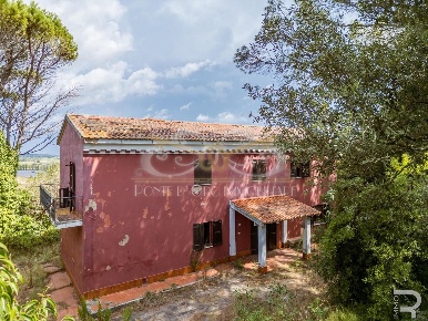 Foto Casa indipendente a Fauglia Centro di 239 m² con 9 locali in vendita