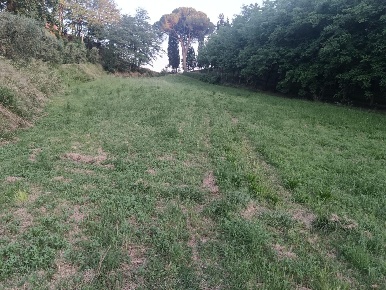 Foto Terreno agricolo a Pontedera Montecastello, Treggiaia, I Fabbri