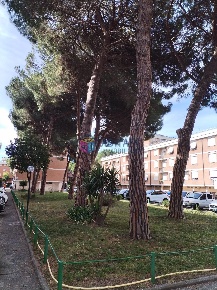 Foto Appartamento a Livorno La Rosa di 106 m² con 5 locali in vendita