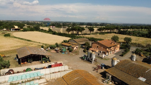 Foto Cessione attività in VIA DI TRAGLIATELLA 144, Roma Osteria Nuova