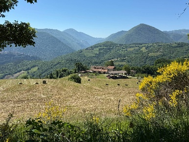 Foto Rustico in Casa Colombi, Cerreto di Spoleto di 325 m² con 10 locali