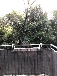 Foto Appartamento in VIA MONTELLO, Treviso Viale Luzzatti di 70 m²