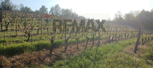 Foto Terreno agricolo in Località San Martino piano T, Orsara Bormida