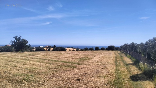 Foto Terreno agricolo in contrada Monti, Grottammare di 26980 m² in vendita