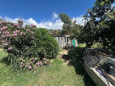 Foto Terreno agricolo in via del morteo, Albenga di 2400 m² in vendita