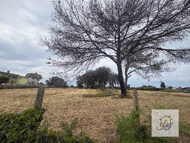 Foto Terreno edificabile in via campoleone 55, Nettuno di 13390 m²