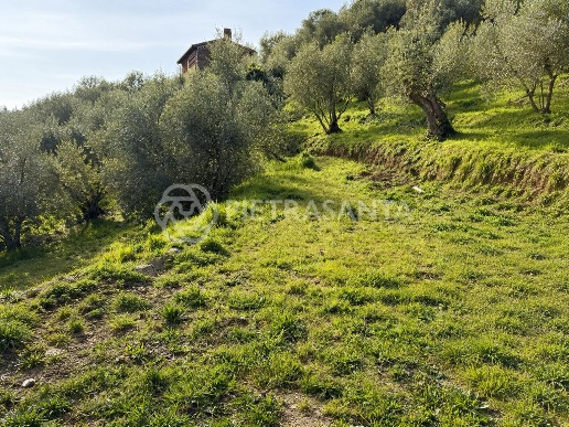 immagine annuncio 2 di 6