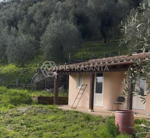 immagine annuncio 5 di 6