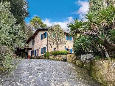 Foto Rustico a Pietrasanta di 265 m² con 12 locali in vendita