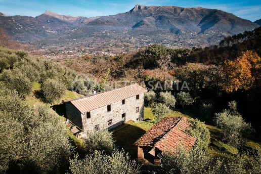 immagine annuncio 2 di 14