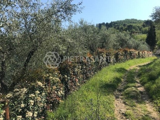 immagine annuncio 7 di 14