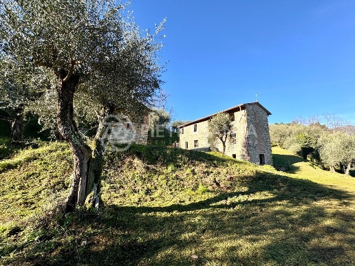 immagine annuncio 8 di 14