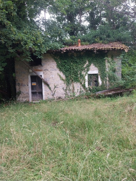 immagine annuncio 4 di 14