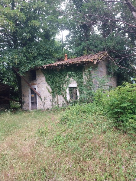 immagine annuncio 5 di 14