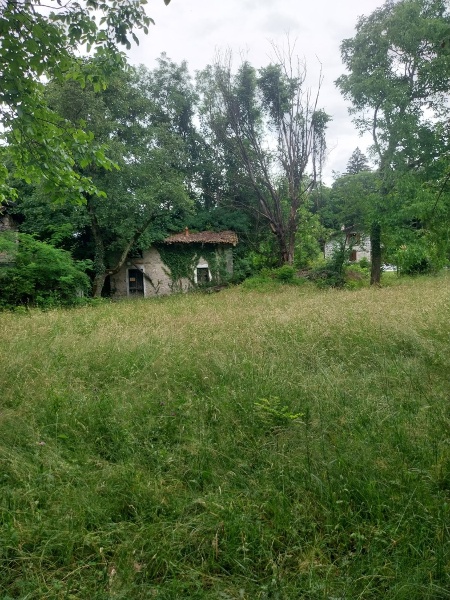 immagine annuncio 8 di 14