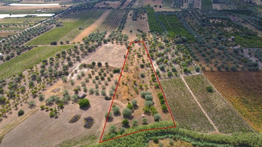 Foto Terreno agricolo in Via Bommiscuro, Noto di 9700 m² in vendita