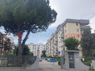 Foto Appartamento in Via Papalia 7, Bari Japigia di 114 m² con 4 locali