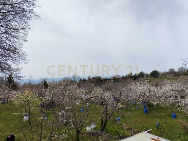 Foto Terreno agricolo in BIANCAVILLA, Catania di 5000 m² in vendita