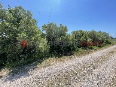 Foto Terreno agricolo in Via delle Querce snc, Minturno Centro di 700 m²