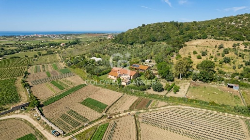 Foto Villa unifamiliare in Località Bandita San Pantaleo, Tarquinia