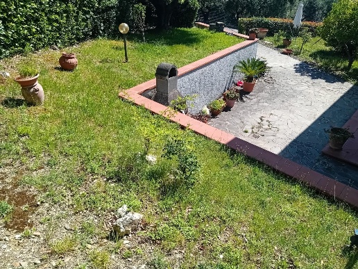 immagine annuncio 2 di 4