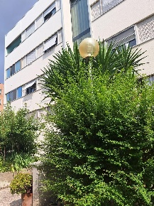 Foto Appartamento a Pisa Pisanova - Pardi di 122 m² con 5 locali in vendita