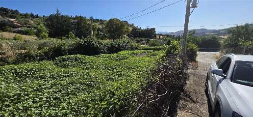 Foto Terreno agricolo a San Cataldo Centro di 3645 m² in vendita