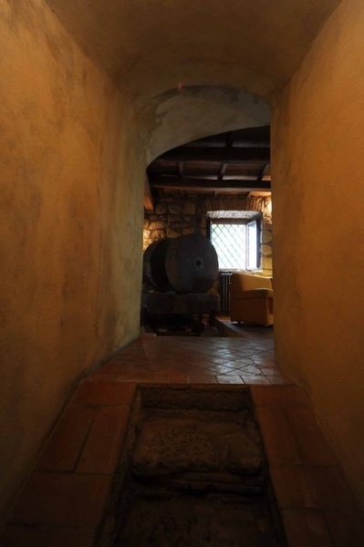 immagine annuncio 7 di 11
