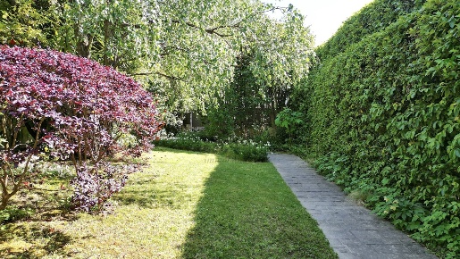 Foto Villa unifamiliare in Via Borgo Giannotti 120, Lucca di 330 m²