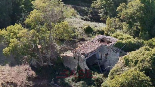 Foto Casale in SS439 36, Castelnuovo di Val di Cecina di 2000 m² in vendita