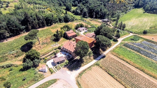Foto Rustico in Strada Provinciale 50, San Miniato di 1500 m² con 30 locali