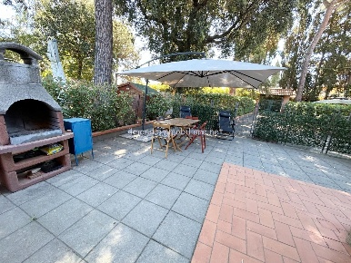 Foto Appartamento a Cecina di 30 m² con 1 locali in affitto