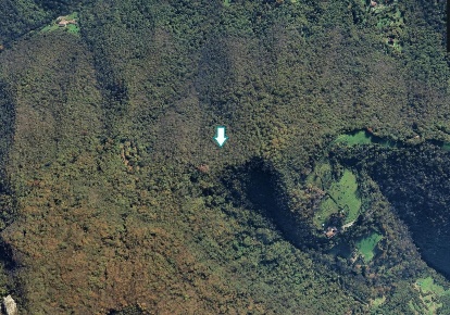 Foto Terreno agricolo a Pradalunga in vendita