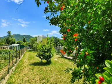 Foto Casa indipendente a San Giuliano Terme Le Maggiola, Gello di 120 m²