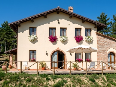 Foto Cessione attività a San Miniato di 45000 m² con 9 locali in vendita