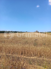 Foto Terreno agricolo in Via Vecchia Felline 230, Ugento di 4800 m²